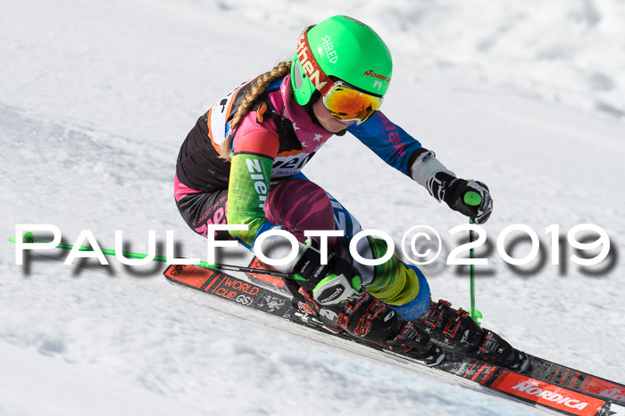 Ziener Cup WF, RS, 24.02.2019