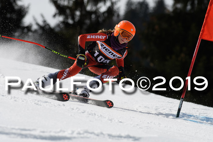 Ziener Cup WF, RS, 24.02.2019