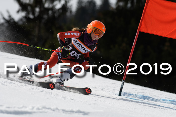 Ziener Cup WF, RS, 24.02.2019