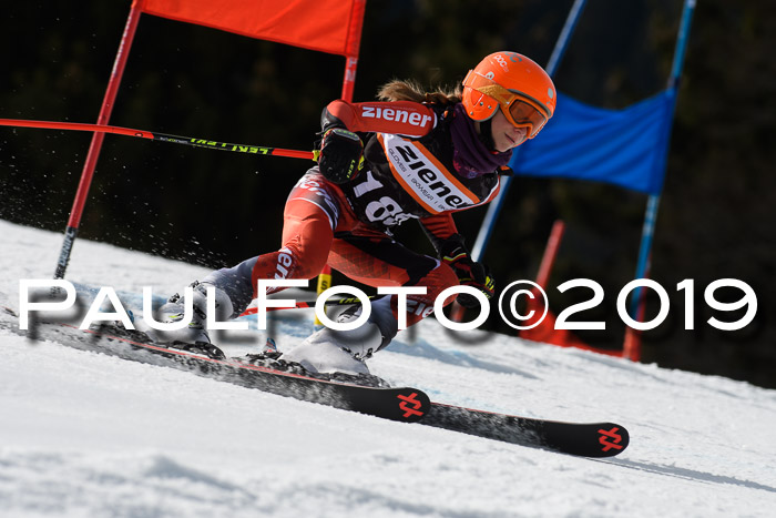 Ziener Cup WF, RS, 24.02.2019