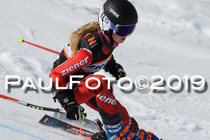 Ziener Cup WF, RS, 24.02.2019