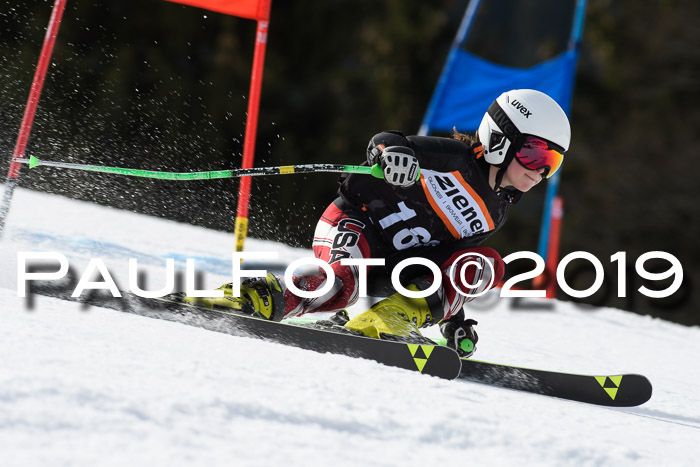 Ziener Cup WF, RS, 24.02.2019