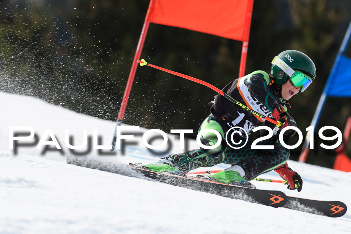 Ziener Cup WF, RS, 24.02.2019