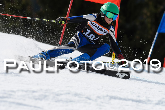 Ziener Cup WF, RS, 24.02.2019