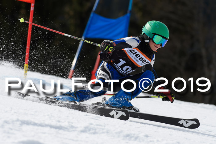 Ziener Cup WF, RS, 24.02.2019