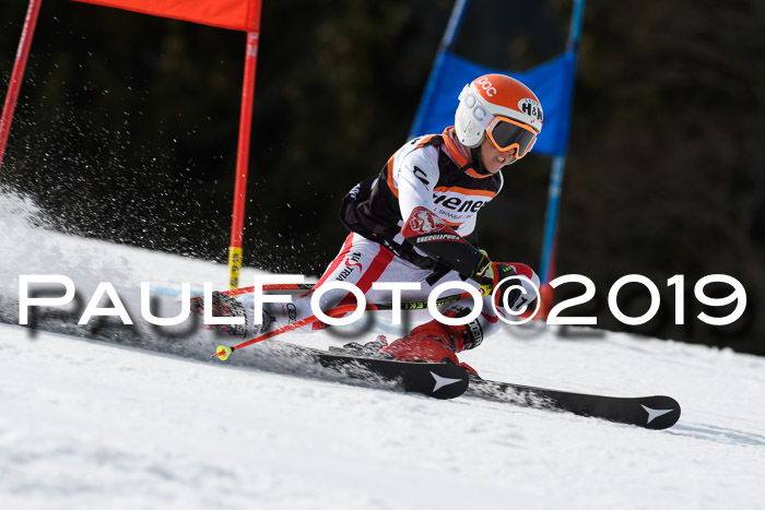 Ziener Cup WF, RS, 24.02.2019