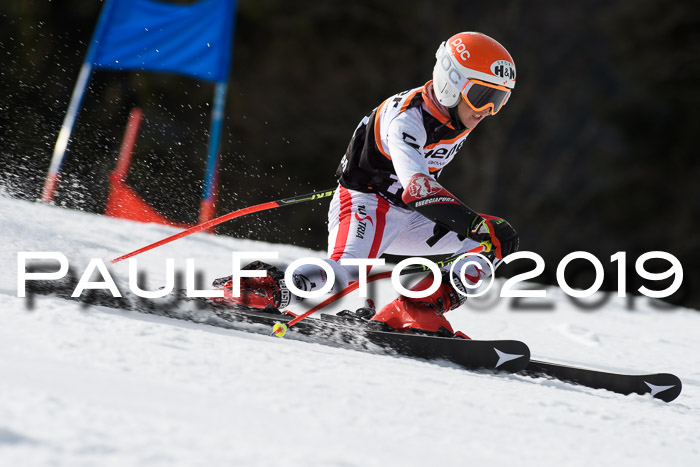 Ziener Cup WF, RS, 24.02.2019