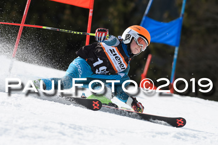 Ziener Cup WF, RS, 24.02.2019