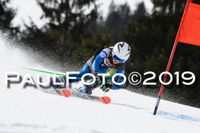 Ziener Cup WF, RS, 24.02.2019