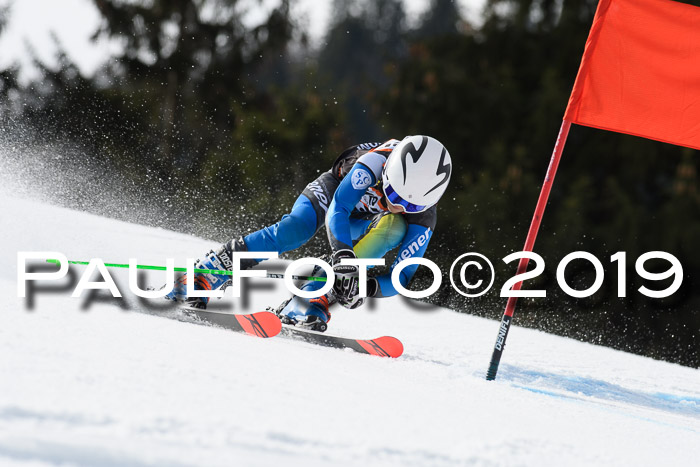 Ziener Cup WF, RS, 24.02.2019