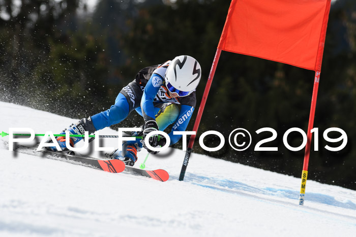 Ziener Cup WF, RS, 24.02.2019