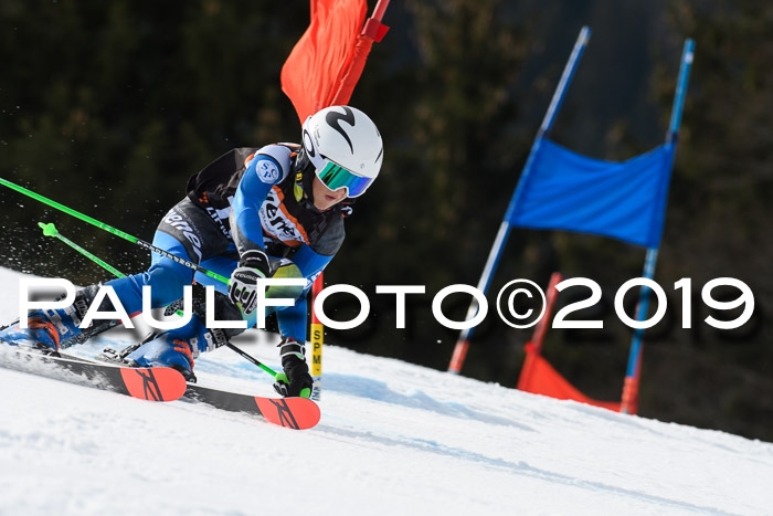 Ziener Cup WF, RS, 24.02.2019