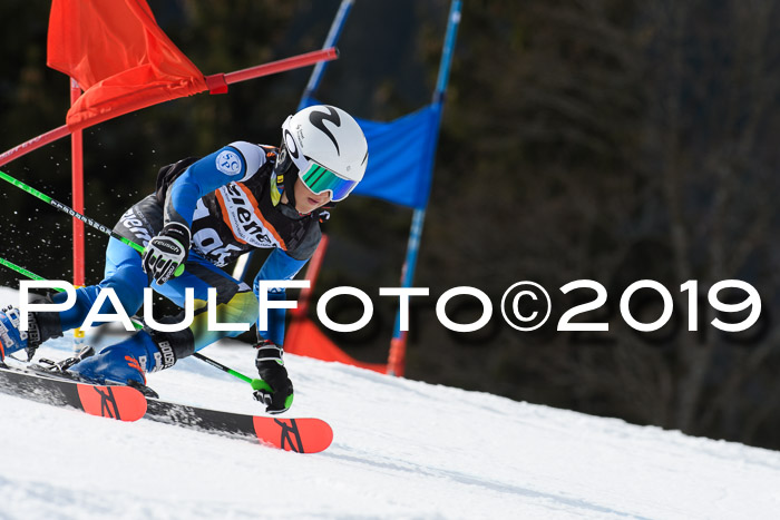 Ziener Cup WF, RS, 24.02.2019