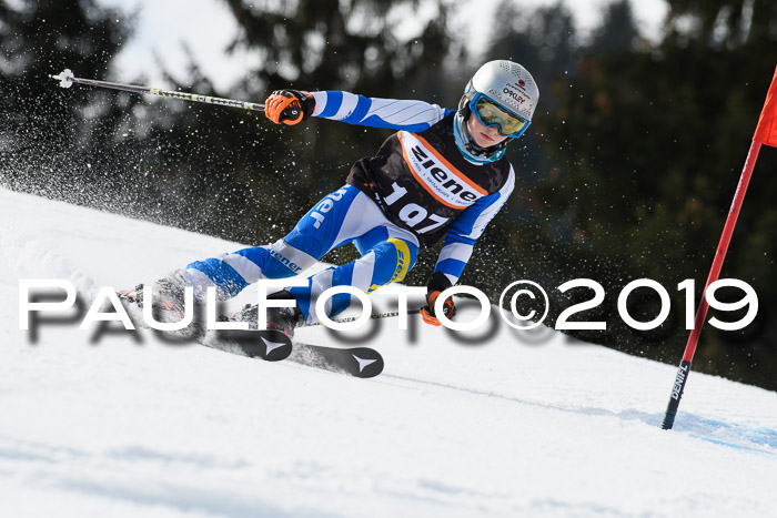 Ziener Cup WF, RS, 24.02.2019