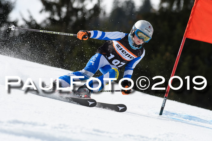 Ziener Cup WF, RS, 24.02.2019