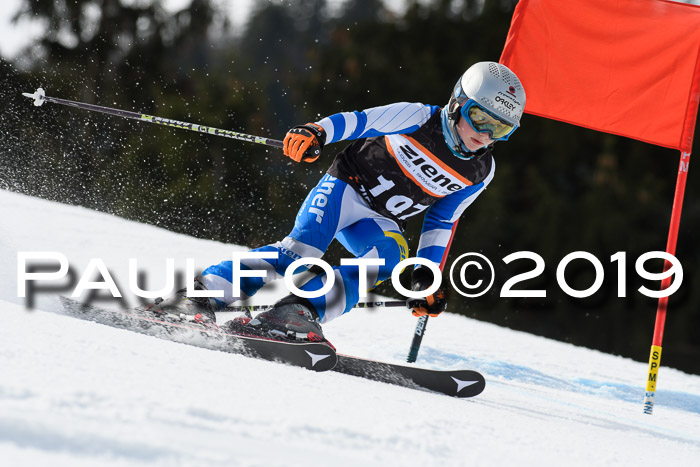 Ziener Cup WF, RS, 24.02.2019