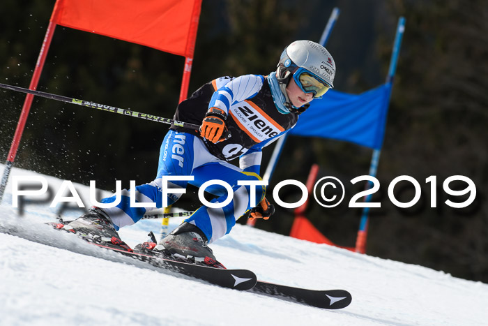 Ziener Cup WF, RS, 24.02.2019