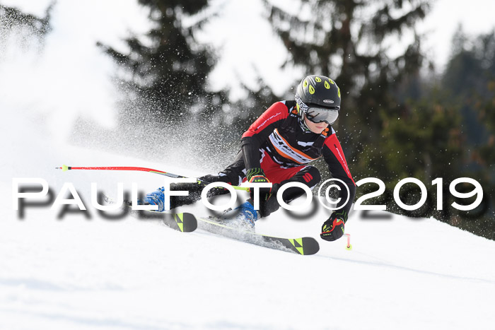 Ziener Cup WF, RS, 24.02.2019