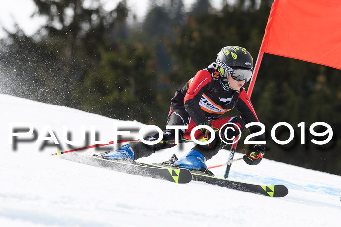 Ziener Cup WF, RS, 24.02.2019