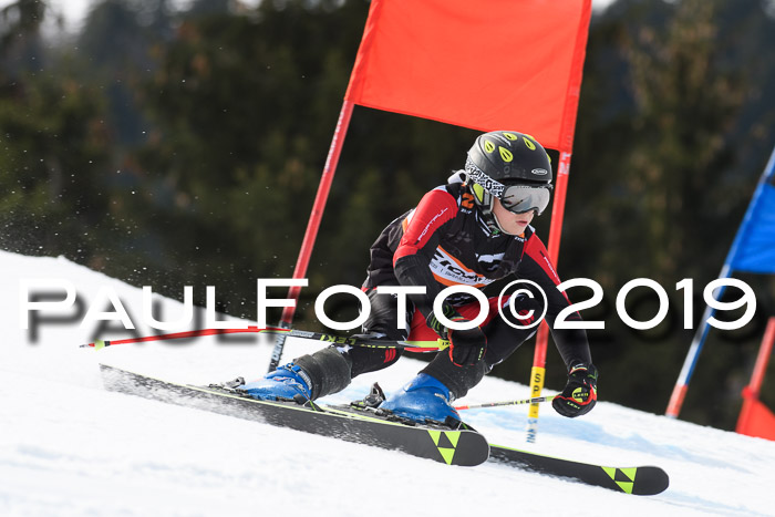 Ziener Cup WF, RS, 24.02.2019