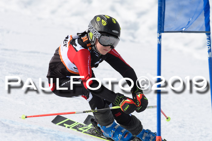 Ziener Cup WF, RS, 24.02.2019