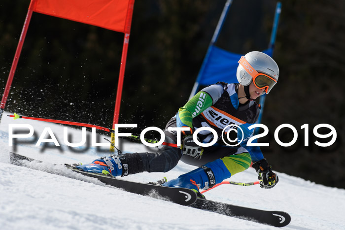 Ziener Cup WF, RS, 24.02.2019