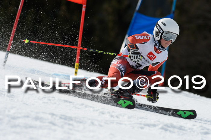 Ziener Cup WF, RS, 24.02.2019