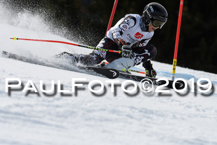 Ziener Cup WF, RS, 24.02.2019