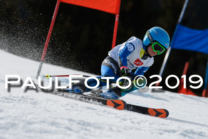 Ziener Cup WF, RS, 24.02.2019