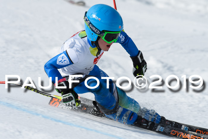 Ziener Cup WF, RS, 24.02.2019