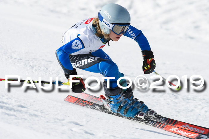 Ziener Cup WF, RS, 24.02.2019