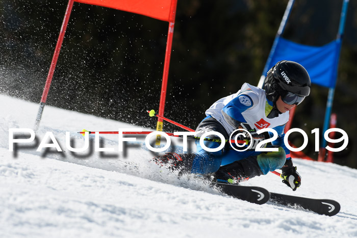 Ziener Cup WF, RS, 24.02.2019