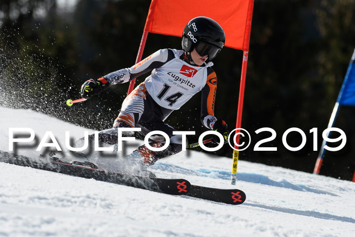 Ziener Cup WF, RS, 24.02.2019