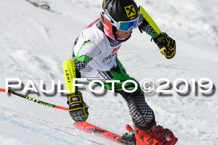 Ziener Cup WF, RS, 24.02.2019