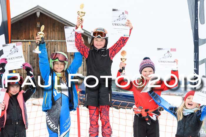 Ziener Cup WF, RS, 24.02.2019