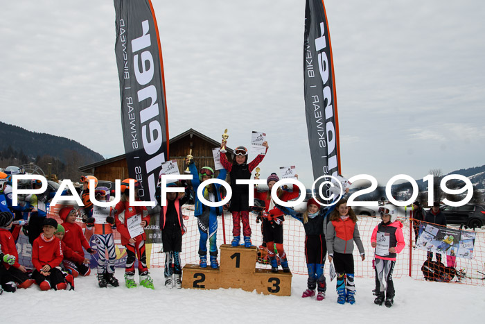 Ziener Cup WF, RS, 24.02.2019