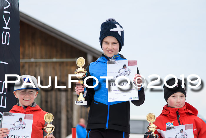 Ziener Cup WF, RS, 24.02.2019