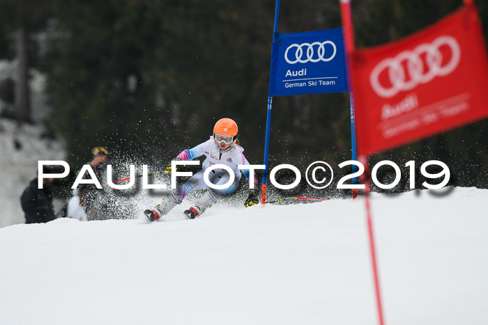 DSV Deutscher Schülercup U12 Finale 2019, Race Cross 02.03.2019