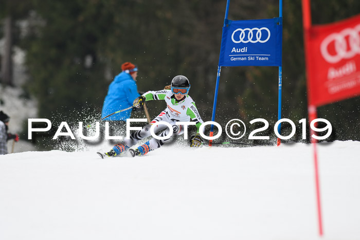 DSV Deutscher Schülercup U12 Finale 2019, Race Cross 02.03.2019