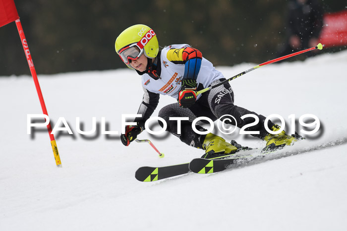 DSV Deutscher Schülercup U12 Finale 2019, Race Cross 02.03.2019