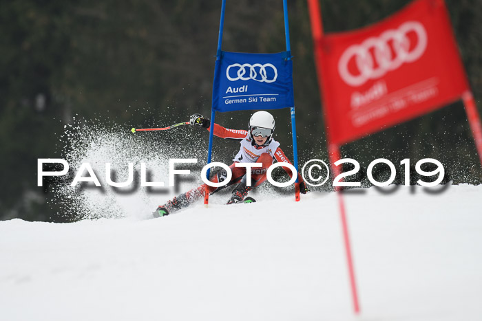 DSV Deutscher Schülercup U12 Finale 2019, Race Cross 02.03.2019