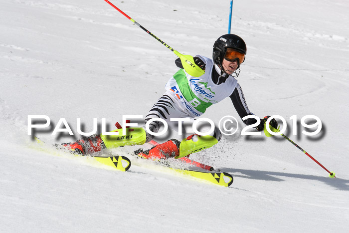 FIS Slalom Damen + NJR Herren, Lenggries 03.03.2019