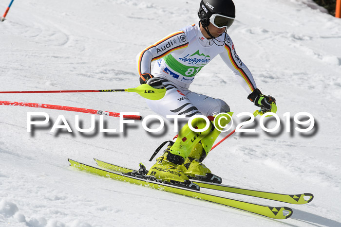 FIS Slalom Damen + NJR Herren, Lenggries 03.03.2019