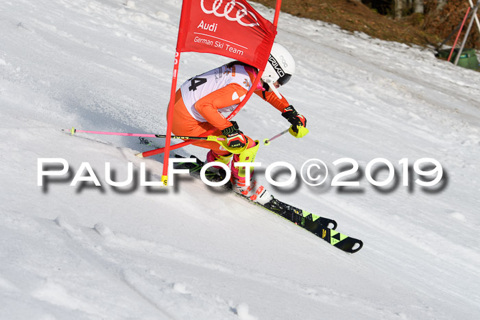 DSV Deutscher Schülercup U12 Finale 2019, Slalom Cross 03.03.2019