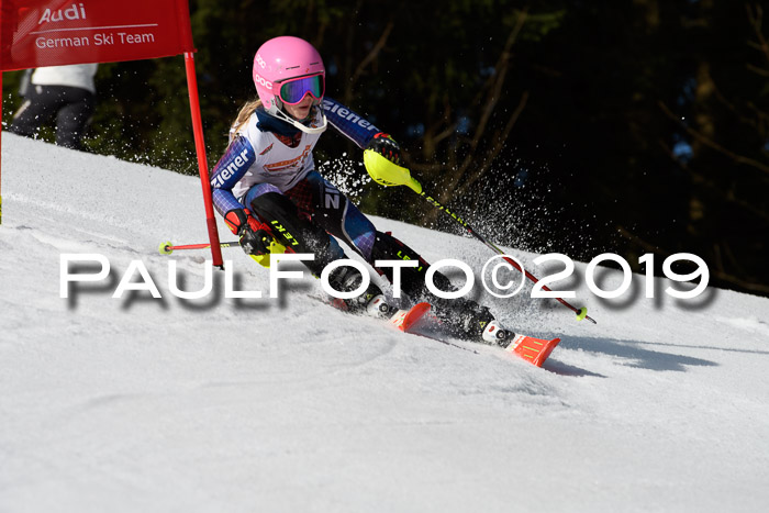 DSV Deutscher Schülercup U12 Finale 2019, Slalom Cross 03.03.2019