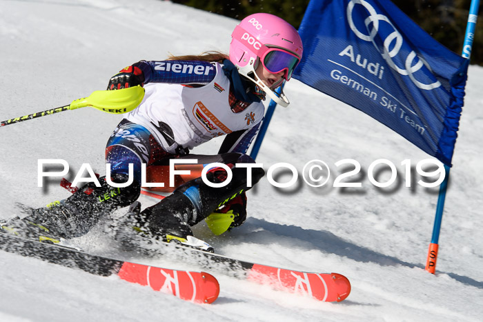 DSV Deutscher Schülercup U12 Finale 2019, Slalom Cross 03.03.2019