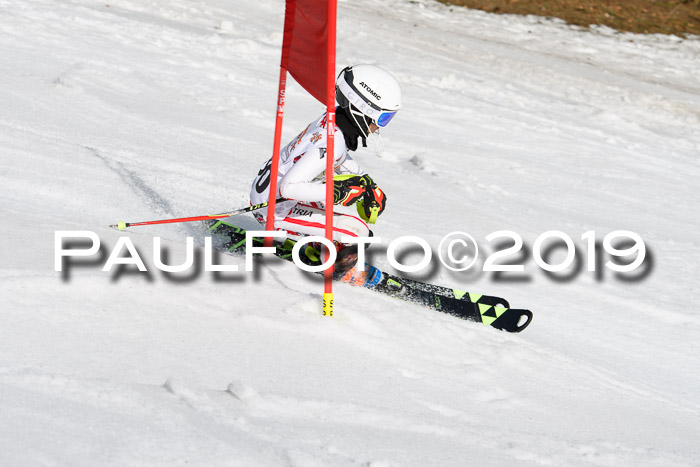 DSV Deutscher Schülercup U12 Finale 2019, Slalom Cross 03.03.2019