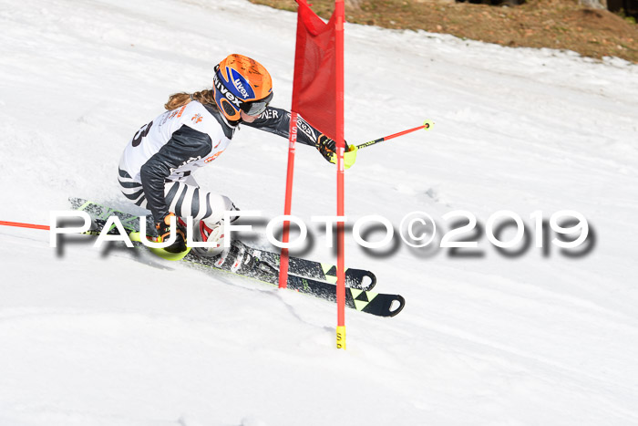 DSV Deutscher Schülercup U12 Finale 2019, Slalom Cross 03.03.2019