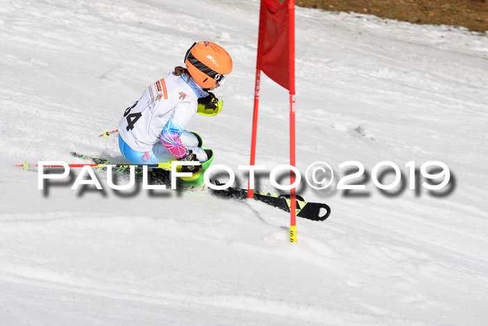 DSV Deutscher Schülercup U12 Finale 2019, Slalom Cross 03.03.2019