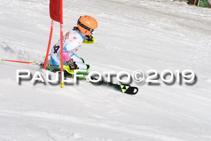 DSV Deutscher Schülercup U12 Finale 2019, Slalom Cross 03.03.2019